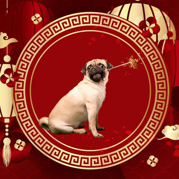 Chinese New Year Food Recipes for Pets