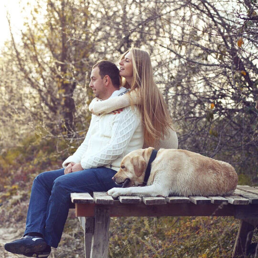 dog breeds for couples