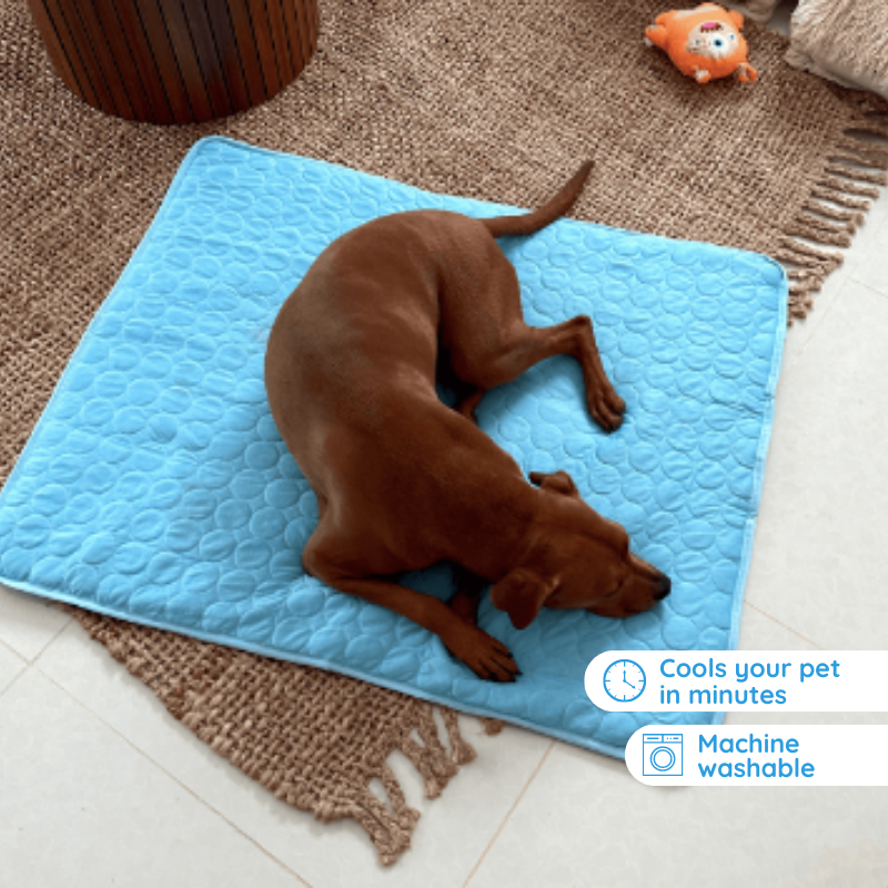 MrFluffyFriend™ - Ultimate Cooling Mat for Pets