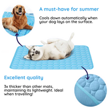 Load image into Gallery viewer, MrFluffyFriend™ - Ultimate Cooling Mat for Pets
