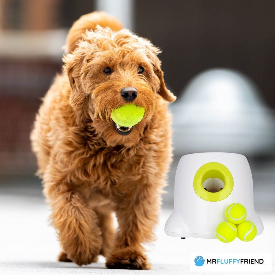 MrFluffyFriend™ - Astro Launcher for Dogs