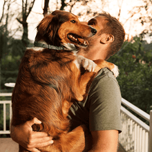 Load image into Gallery viewer, MrFluffyFriend™ - Flea and Tick Prevention Collar
