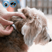 Load image into Gallery viewer, MrFluffyFriend™ - Flea and Tick Prevention Collar
