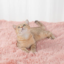 Load image into Gallery viewer, MrFluffyFriend™ - Anxiety Relieving Fluffy Pet Blanket
