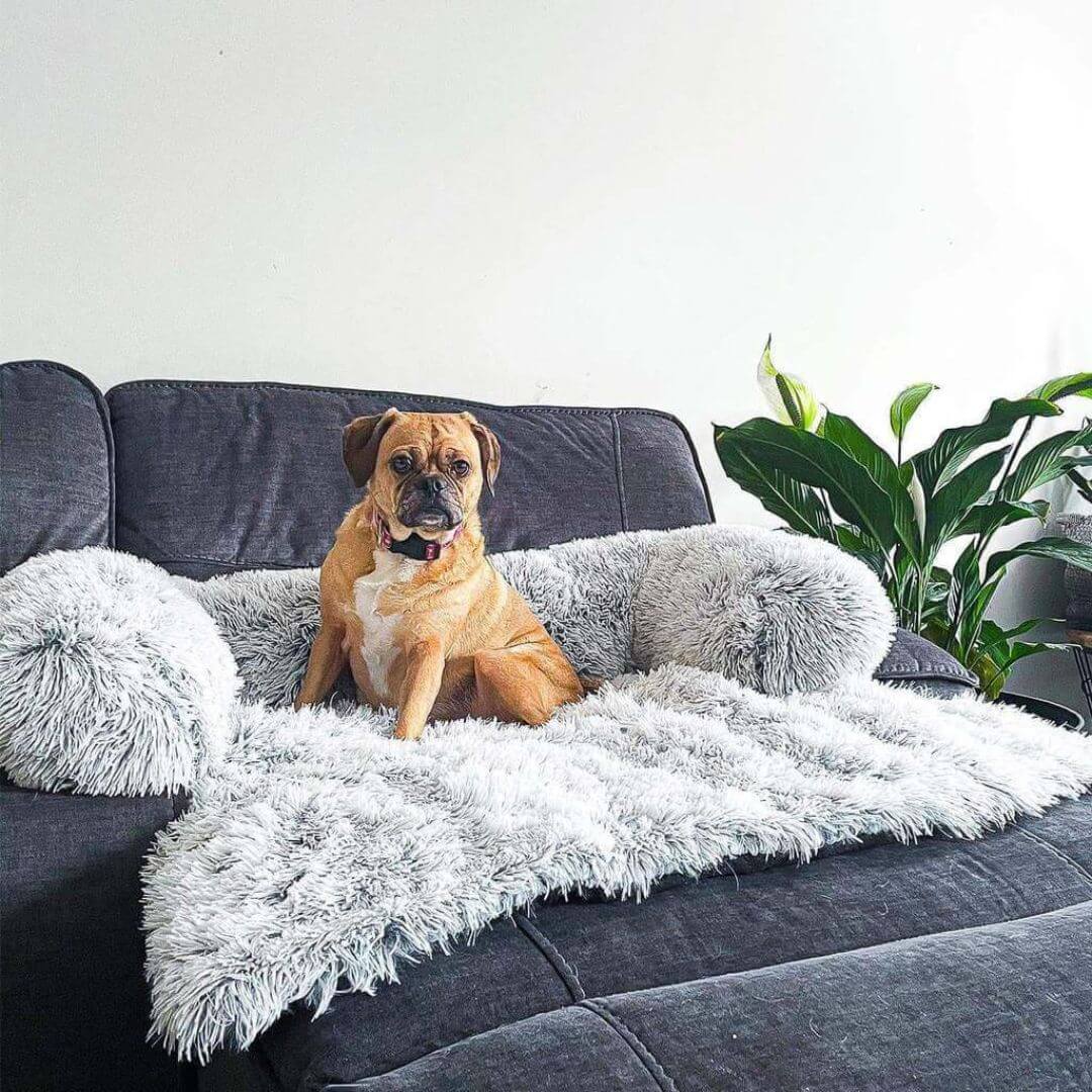 MrFluffyFriend™ - Fluffy Couch Cover for Dogs