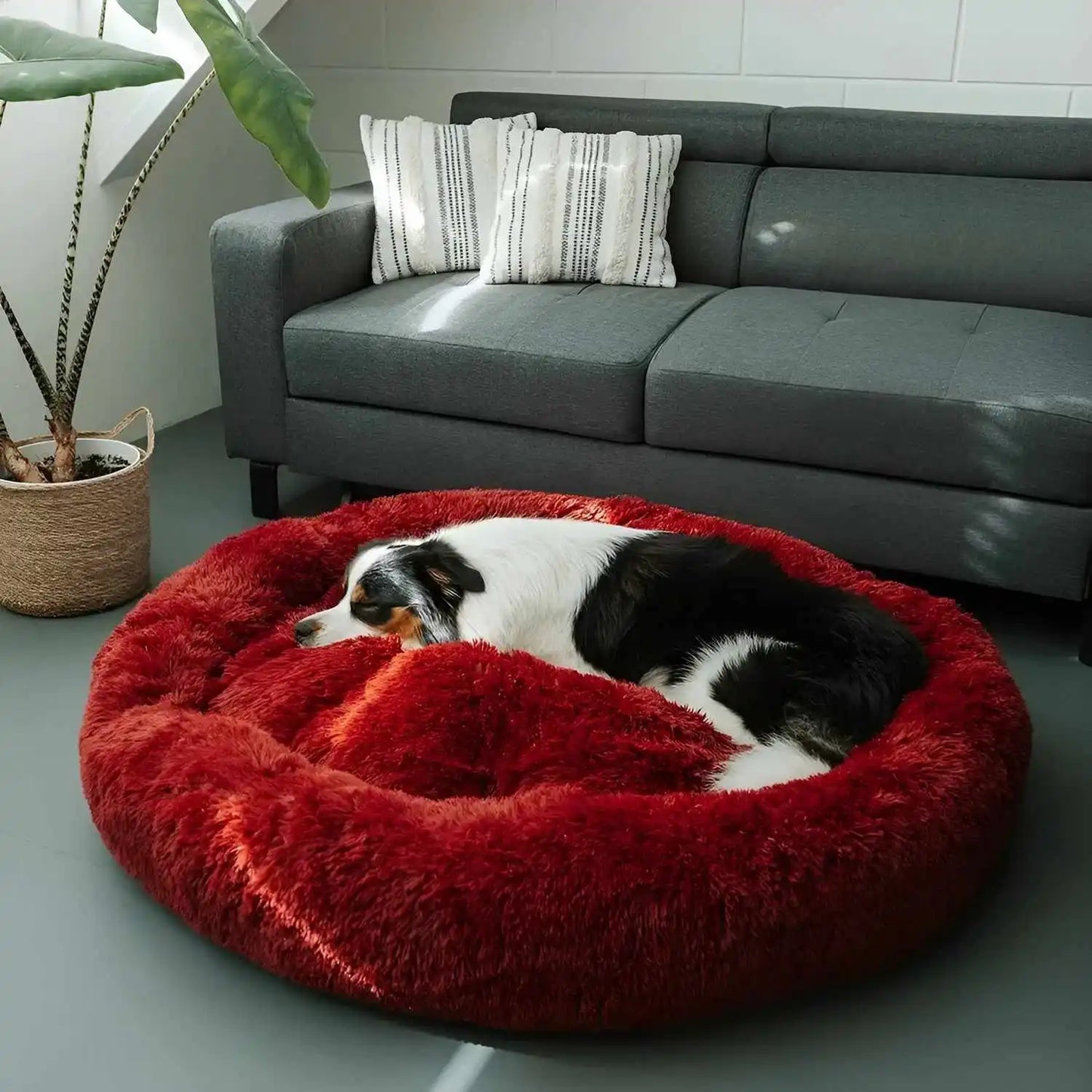 MrFluffyFriend™ - World's #1 Anxiety Relieving Dog Bed