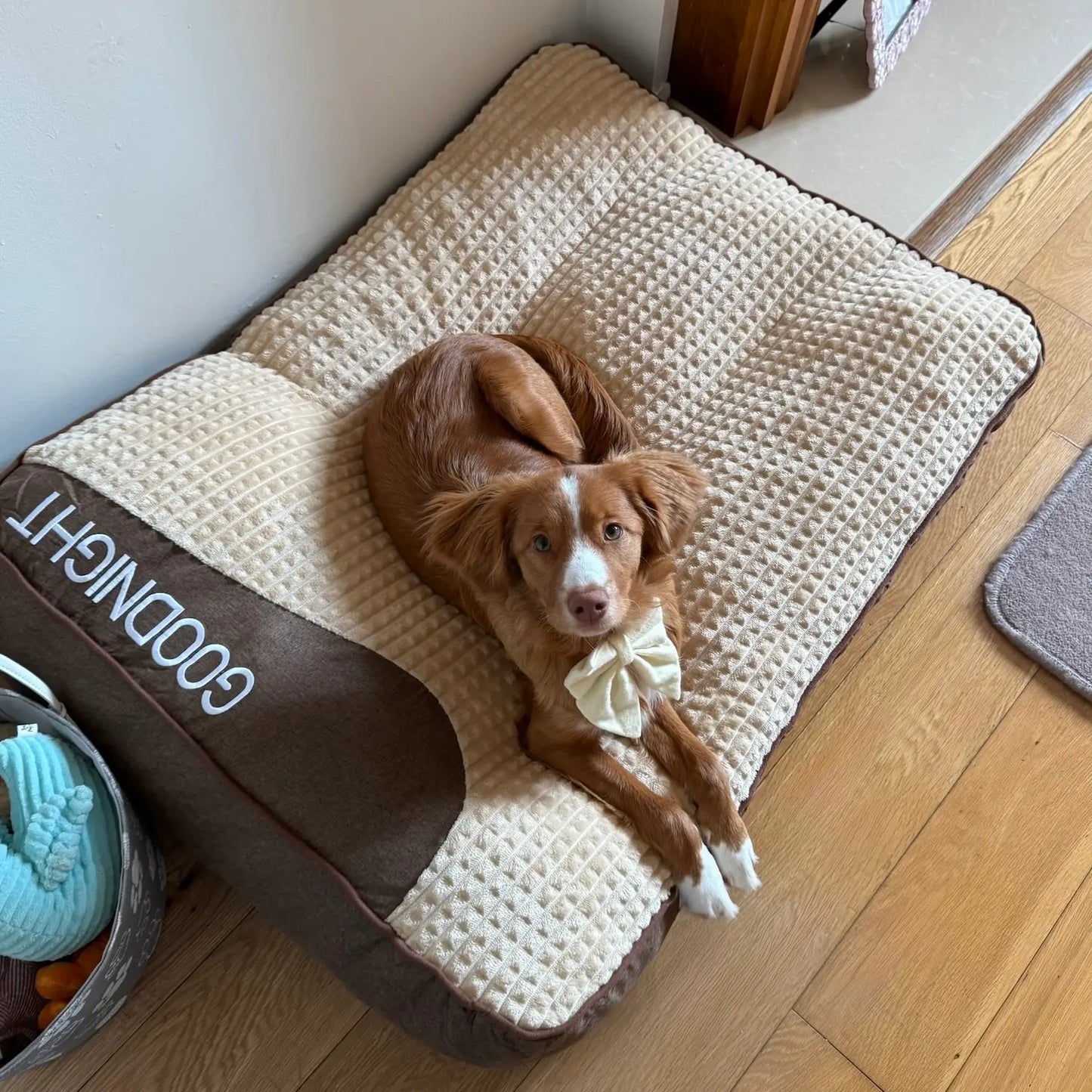 MrFluffyFriend™ - Calming Dog Cushion