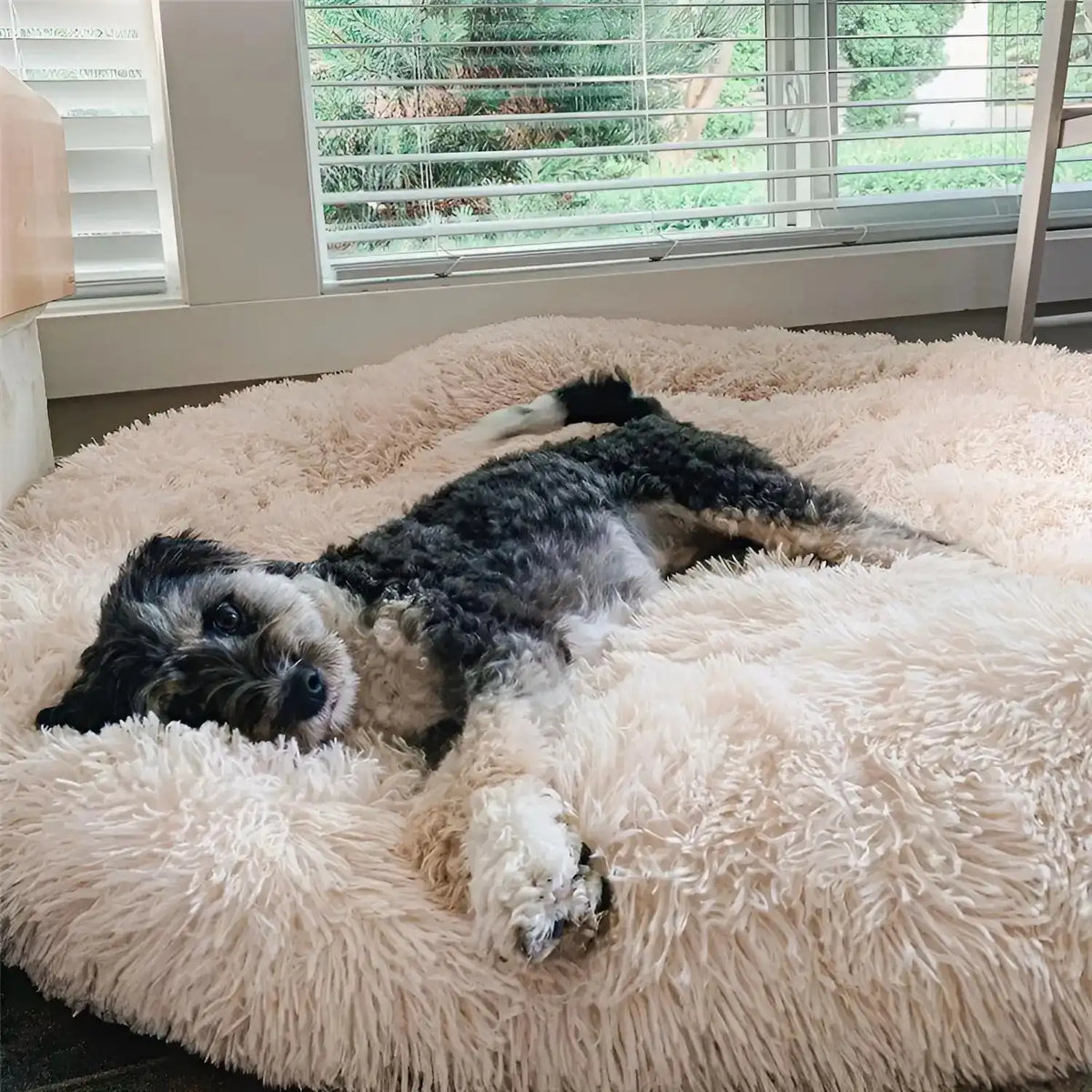 MrFluffyFriend™ - World's #1 Anxiety Relieving Dog Bed (BUNDLE)