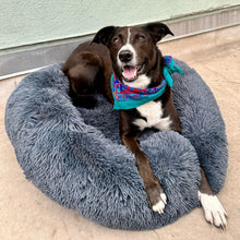 Load image into Gallery viewer, MrFluffyFriend™ - World&#39;s #1 Anxiety Relieving Dog Bed (stock)

