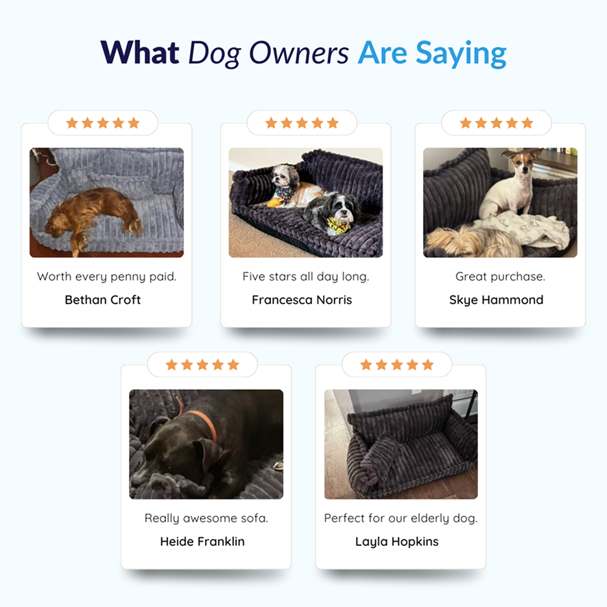 MrFluffyFriend™ - Orthopedic Washable Dog Sofa