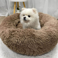 Load image into Gallery viewer, MrFluffyFriend™ - World&#39;s #1 Anxiety Relieving Pet Bed
