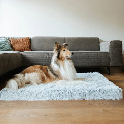 MrFluffyFriend™ - Orthopaedic Pillow