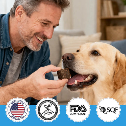 MrFluffyFriend™ - Allergy Care Chews