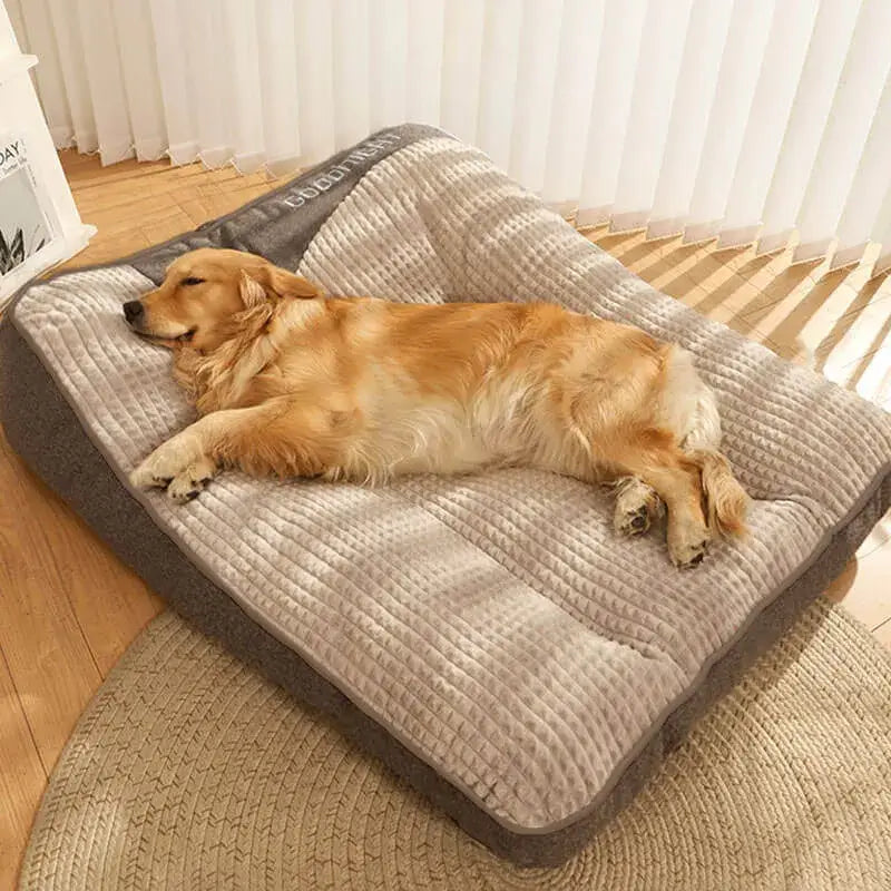 <em><strong>A Calming Cushion</strong></em> <em>Designed for </em><strong>Dogs That Need Real Support</strong>