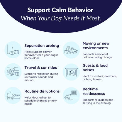 MrFluffyFriend™ - Calming Chews