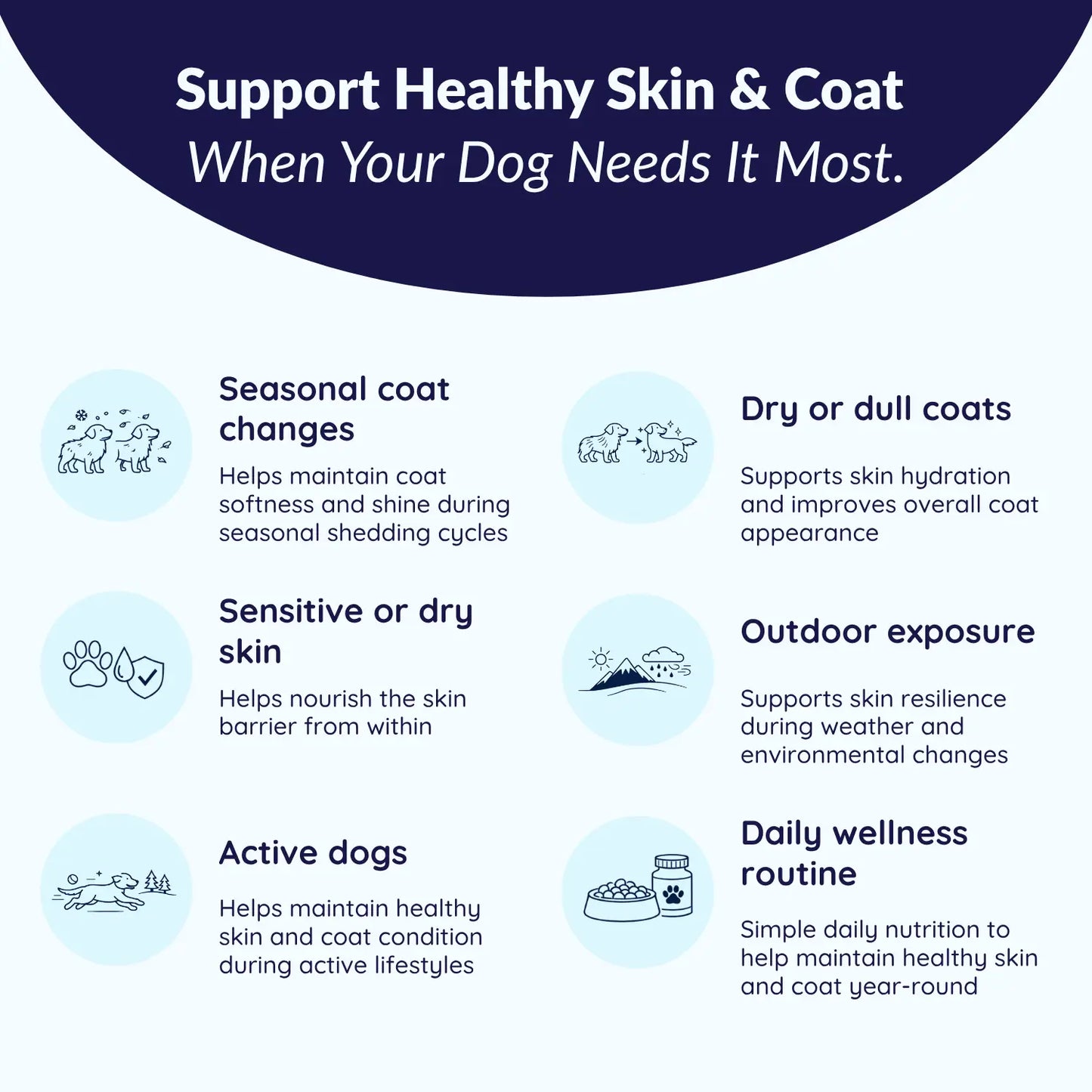 MrFluffyFriend™ - Healthy Skin Chews