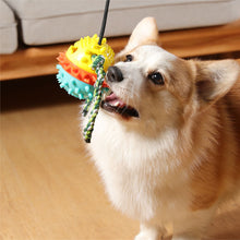 Load image into Gallery viewer, MrFluffyFriend™ - Teeth Cleaning Toy
