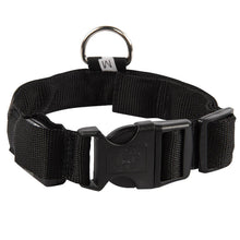 Load image into Gallery viewer, MrFluffyFriend™  - Rechargeable Dog Collar
