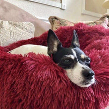 Load image into Gallery viewer, MrFluffyFriend™ - World&#39;s #1 Anxiety Relieving Pet Bed
