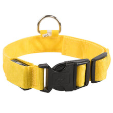 Load image into Gallery viewer, MrFluffyFriend™  - Rechargeable Dog Collar
