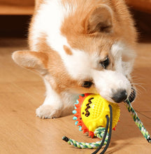 Load image into Gallery viewer, MrFluffyFriend™ - Teeth Cleaning Toy
