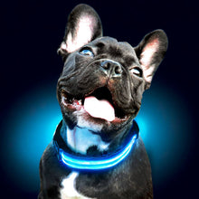 Load image into Gallery viewer, MrFluffyFriend™  - Rechargeable Dog Collar
