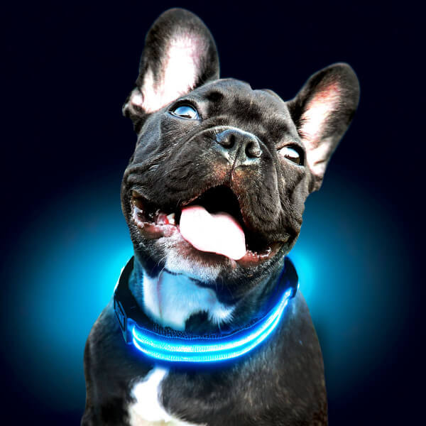 MrFluffyFriend™  - Rechargeable Dog Collar